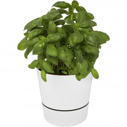 Mepal Herbs single kitchen pot