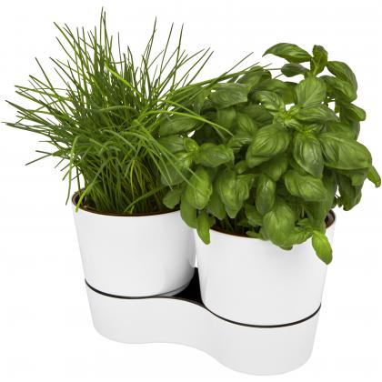 Mepal Herbs twin kitchen pot