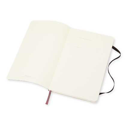 Picture of Moleskine Classic Large soft cover notebook - ruled