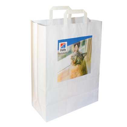 Picture of Flat tape or twisted handle paper bag - DIGITAL PRINT