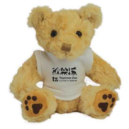 Picture of 7inch Benji Bear with T Shirt